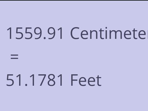 1559.91 CM TO FEET