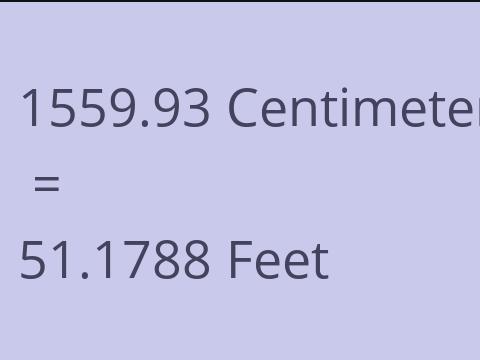 1559.93 CM TO FEET