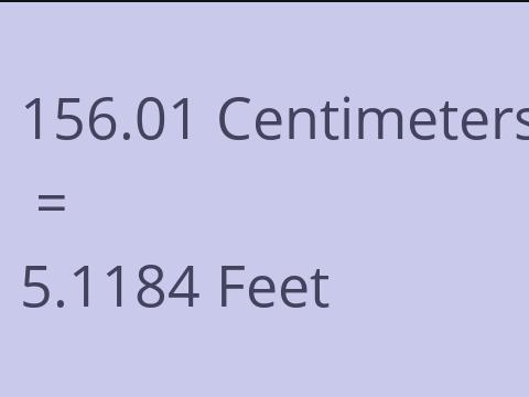 156.01 CM TO FEET