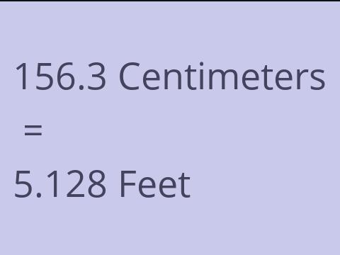 156.3 CM TO FEET