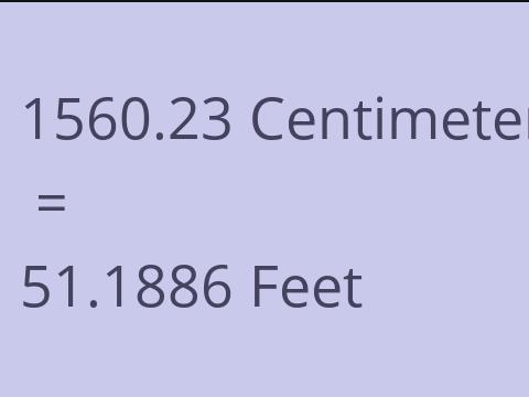 1560.23 CM TO FEET