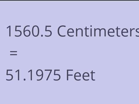 1560.5 CM TO FEET