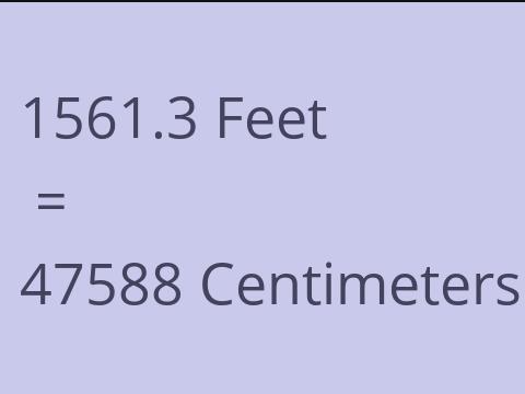 1561.3 FEET TO CM