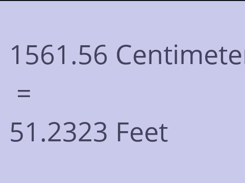 1561.56 CM TO FEET