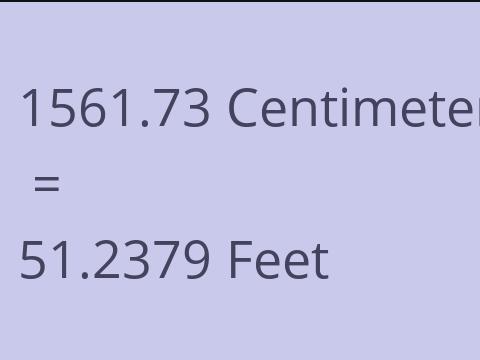 1561.73 CM TO FEET