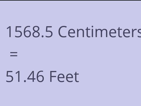 1568.5 CM TO FEET