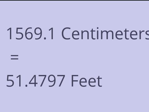 1569.1 CM TO FEET