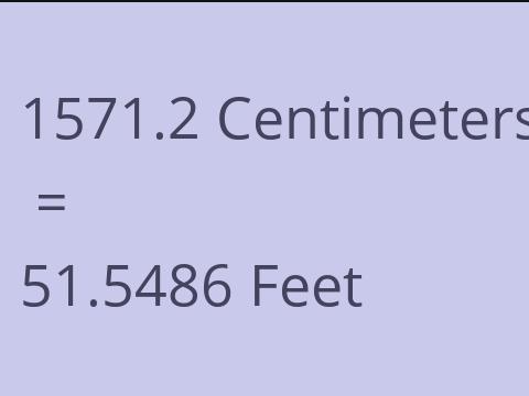 1571.2 CM TO FEET