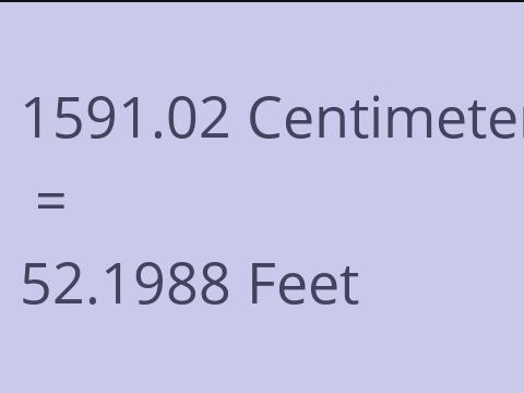 1591.02 CM TO FEET