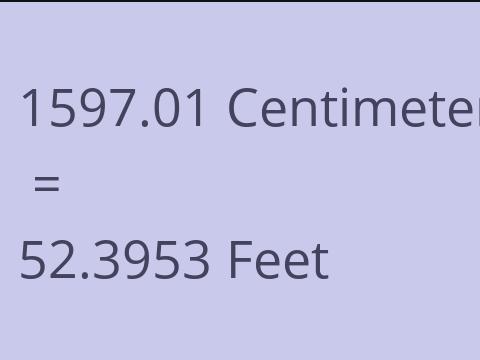 1597.01 CM TO FEET