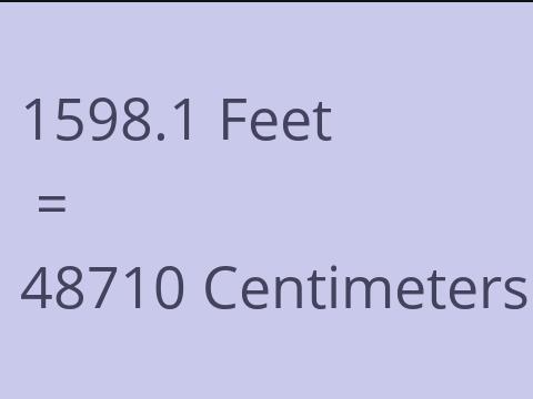 1598.1 FEET TO CM