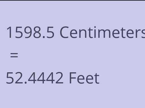 1598.5 CM TO FEET