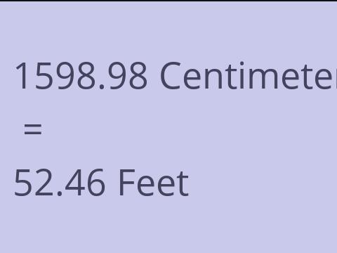 1598.98 CM TO FEET