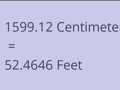 1599.12 CM TO FEET