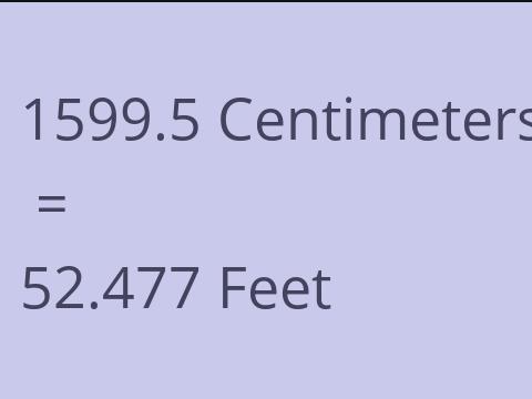 1599.5 CM TO FEET