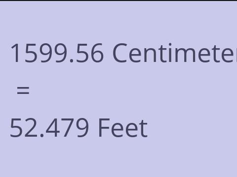 1599.56 CM TO FEET