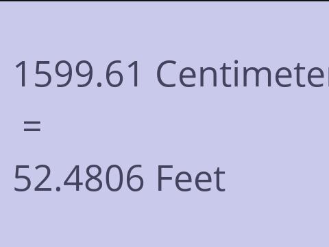 1599.61 CM TO FEET