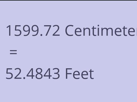 1599.72 CM TO FEET