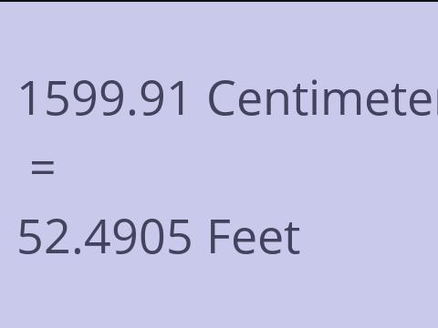 1599.91 CM TO FEET