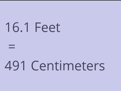 16.1 FEET TO CM