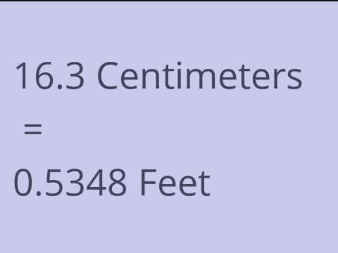 16.3 CM TO FEET