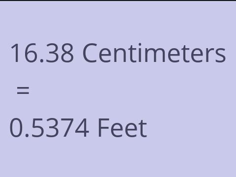 16.38 CM TO FEET