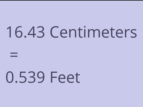 16.43 CM TO FEET