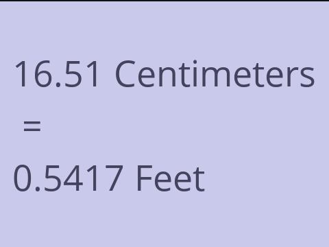 16.51 CM TO FEET