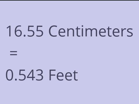 16.55 CM TO FEET