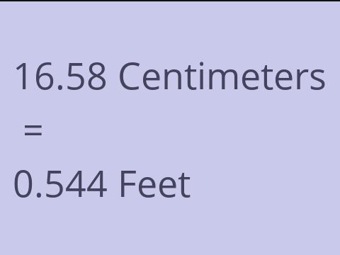 16.58 CM TO FEET