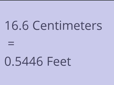 16.6 CM TO FEET