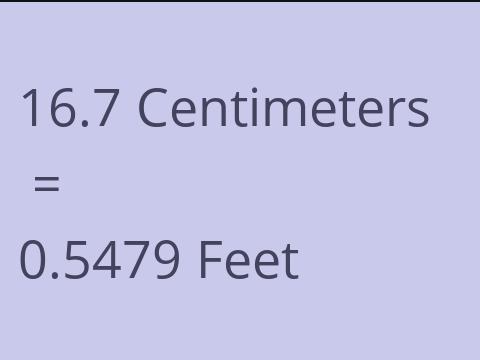 16.7 CM TO FEET