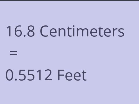 16.8 CM TO FEET