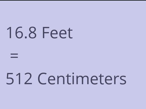 16.8 FEET TO CM