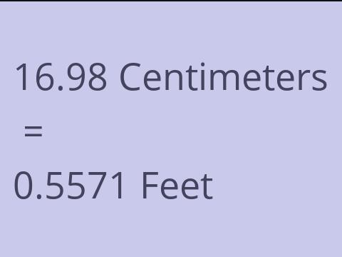 16.98 CM TO FEET