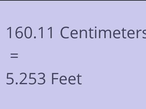 160.11 CM TO FEET