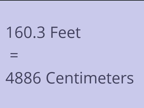 160.3 FEET TO CM