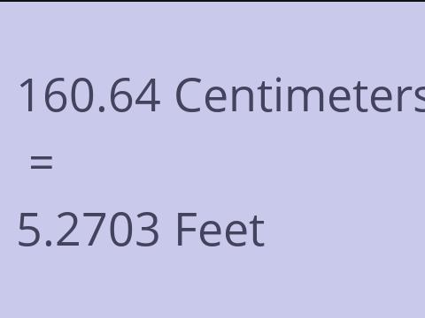 160.64 CM TO FEET