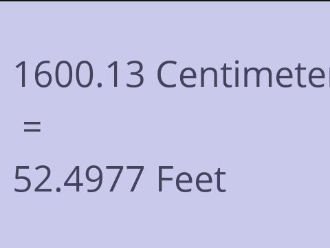 1600.13 CM TO FEET