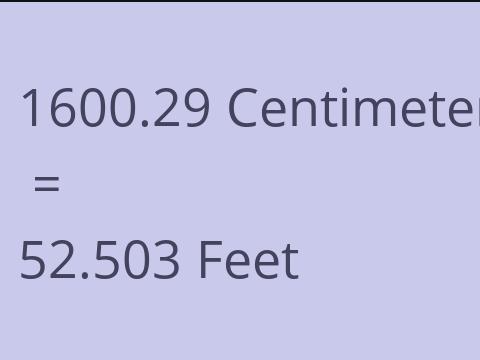 1600.29 CM TO FEET