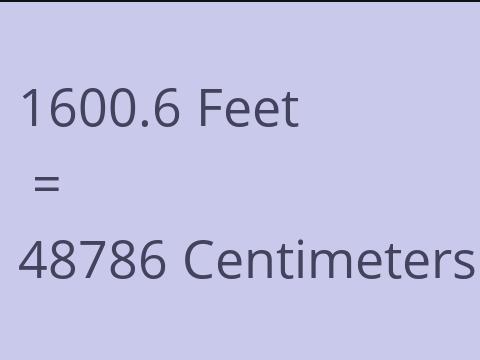 1600.6 FEET TO CM