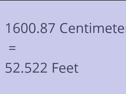 1600.87 CM TO FEET