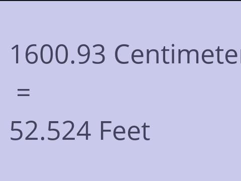 1600.93 CM TO FEET