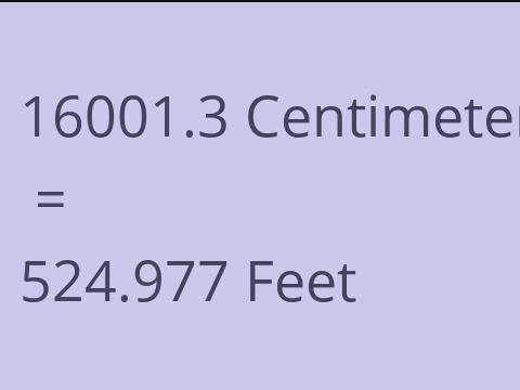 16001.3 CM TO FEET