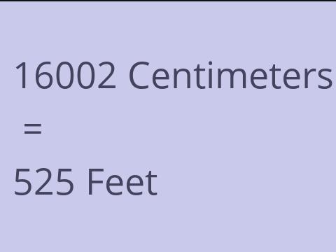 16002 CM TO FEET