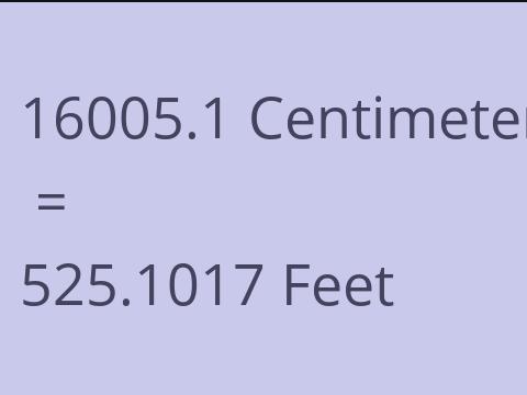 16005.1 CM TO FEET