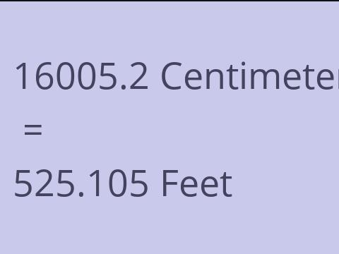 16005.2 CM TO FEET