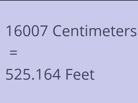 16007 CM TO FEET