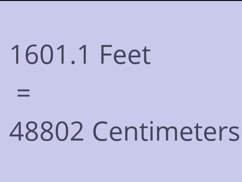 1601.1 FEET TO CM