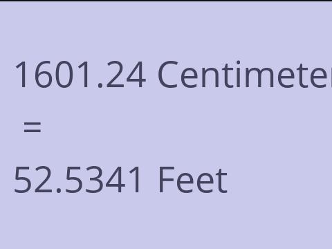 1601.24 CM TO FEET